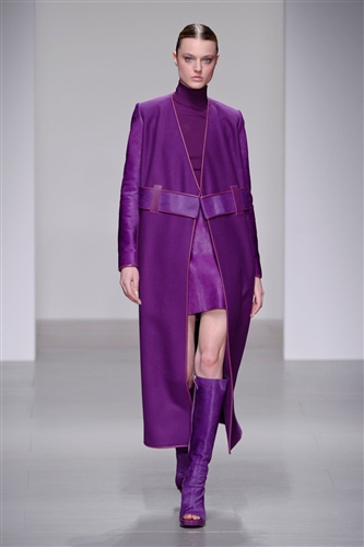 David Koma Autumn-Winter 2014 /2015 - Catwalk Yourself