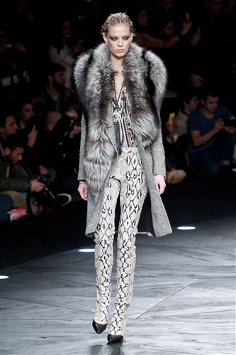 Roberto Cavalli Autumn-Winter 2014 /2015 - Catwalk Yourself