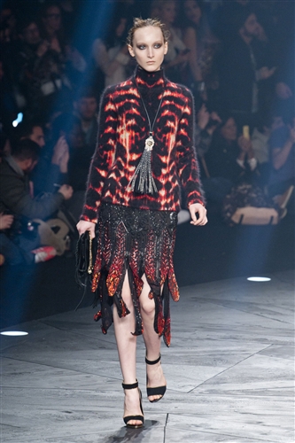 Roberto Cavalli Autumn-Winter 2014 /2015 - Catwalk Yourself