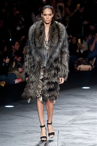 Roberto Cavalli Autumn-Winter 2014 /2015 - Catwalk Yourself