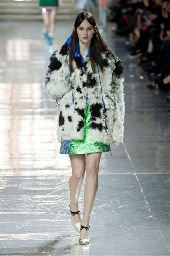 Miu Miu Autumn-Winter 2014 /2015 - Catwalk Yourself