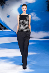 Trends_catwalk_yourself_AW13_dogtooth_dior_3