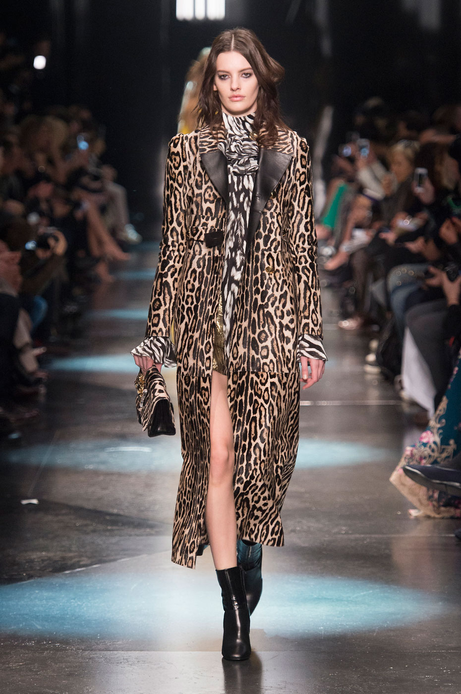 Roberto Cavalli Women Autumn-Winter 2015